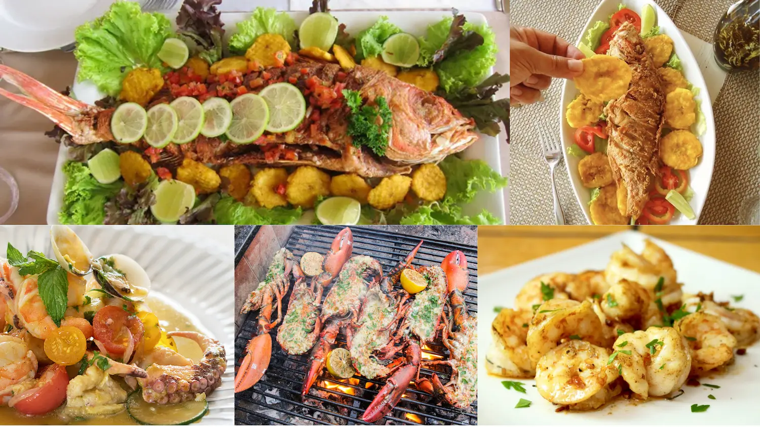 Pescados y Mariscos